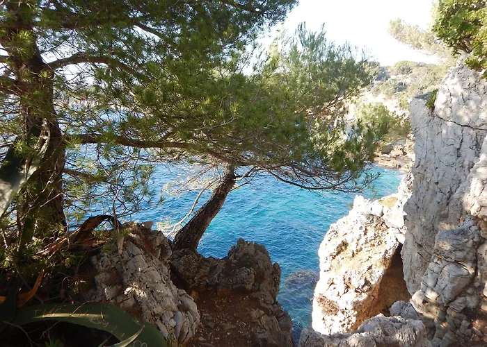 Miramar- Cap D'antibes - La Garoupe Hotel 3*