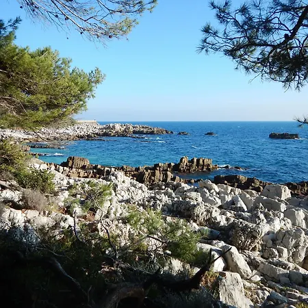 Hotel Miramar- Cap D'antibes